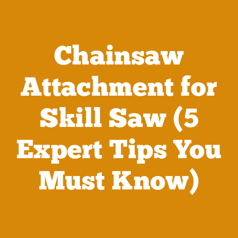 Chainsaw Attachment for Skill Saw (5 Expert Tips You Must Know)