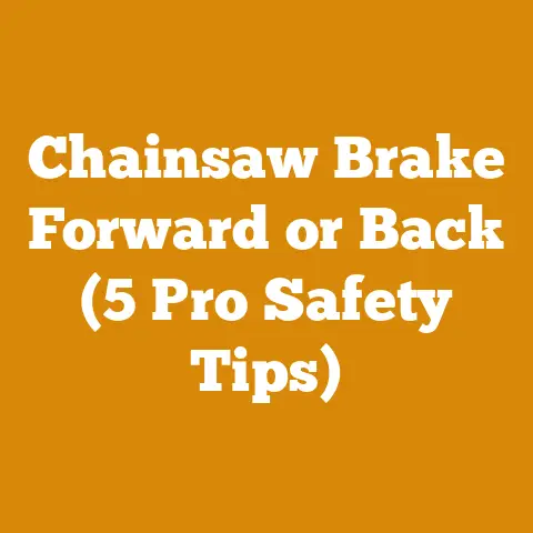 Chainsaw Brake Forward or Back (5 Pro Safety Tips)