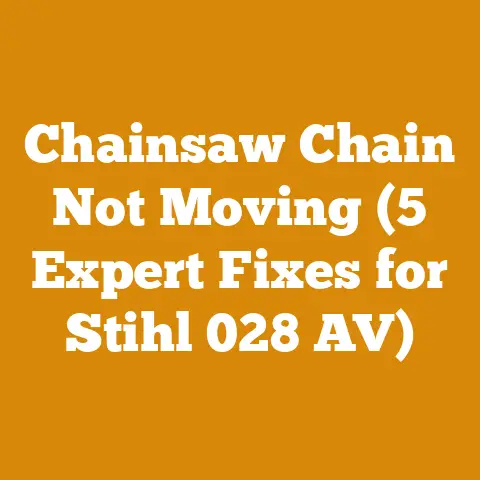 Chainsaw Chain Not Moving (5 Expert Fixes for Stihl 028 AV)