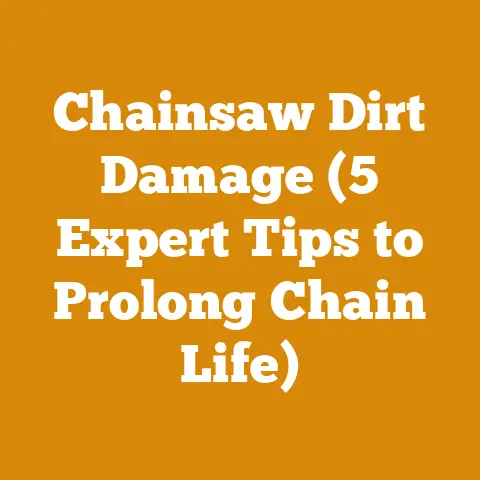 Chainsaw Dirt Damage (5 Expert Tips to Prolong Chain Life)