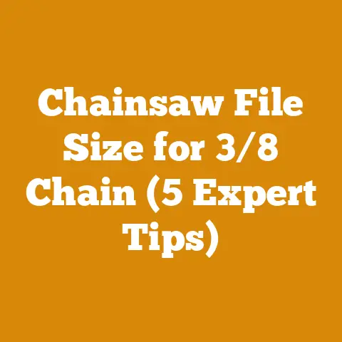 Chainsaw File Size for 3/8 Chain (5 Expert Tips)