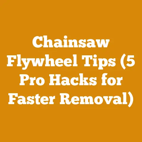 Chainsaw Flywheel Tips (5 Pro Hacks for Faster Removal)
