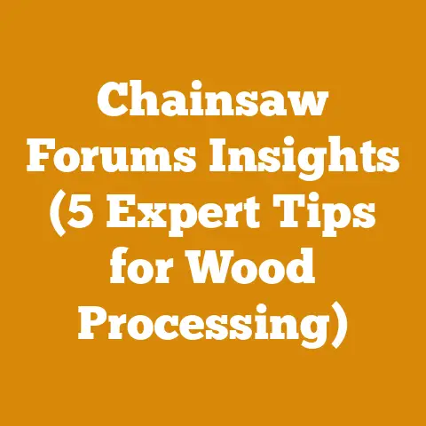 Chainsaw Forums Insights (5 Expert Tips for Wood Processing)