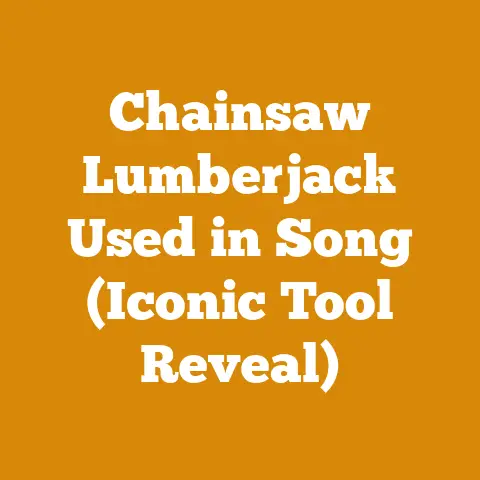 Chainsaw Lumberjack Used in Song (Iconic Tool Reveal)