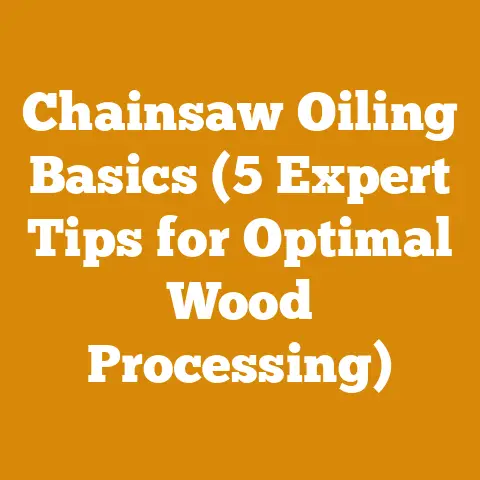 Chainsaw Oiling Basics (5 Expert Tips for Optimal Wood Processing)