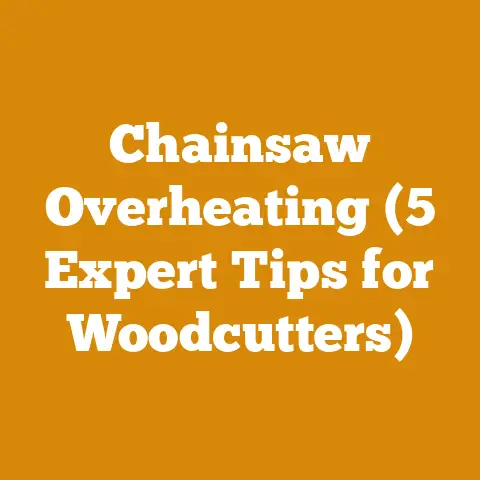 Chainsaw Overheating (5 Expert Tips for Woodcutters)
