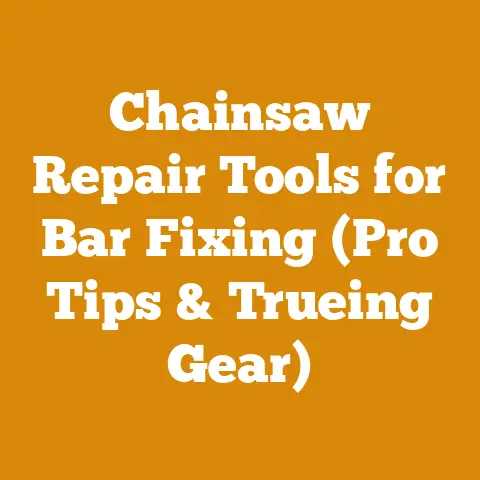 Chainsaw Repair Tools for Bar Fixing (Pro Tips & Trueing Gear)