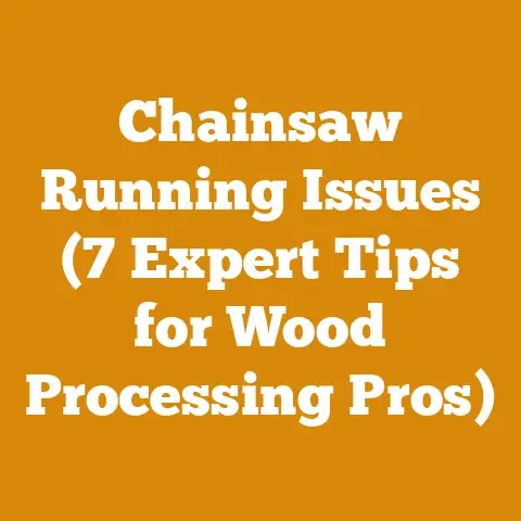 Chainsaw Running Issues (7 Expert Tips for Wood Processing Pros)