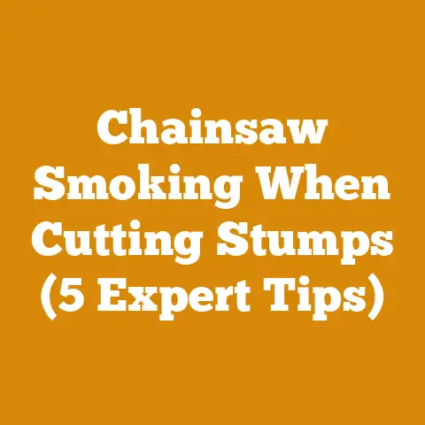 Chainsaw Smoking When Cutting Stumps (5 Expert Tips)