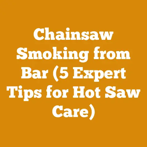Chainsaw Smoking from Bar (5 Expert Tips for Hot Saw Care)