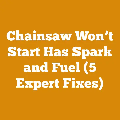 Chainsaw Won’t Start Has Spark and Fuel (5 Expert Fixes)