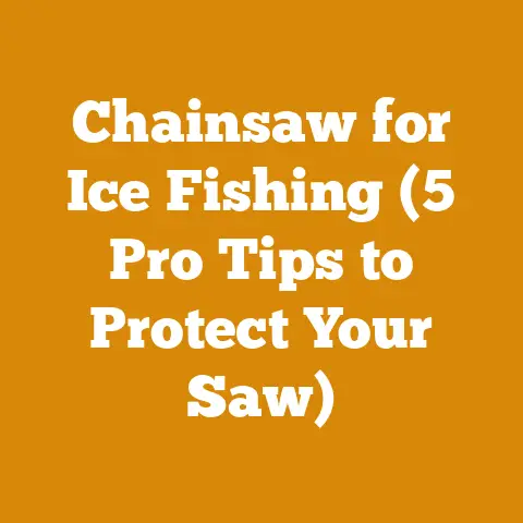 Chainsaw for Ice Fishing (5 Pro Tips to Protect Your Saw)