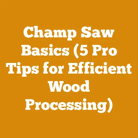 Champ Saw Basics (5 Pro Tips for Efficient Wood Processing)