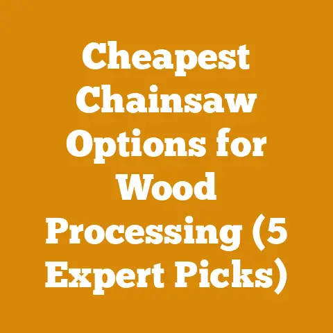 Cheapest Chainsaw Options for Wood Processing (5 Expert Picks)