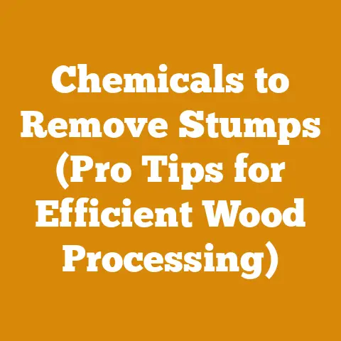 Chemicals to Remove Stumps (Pro Tips for Efficient Wood Processing)