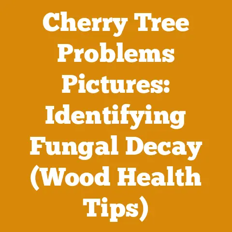 Cherry Tree Problems Pictures: Identifying Fungal Decay (Wood Health Tips)