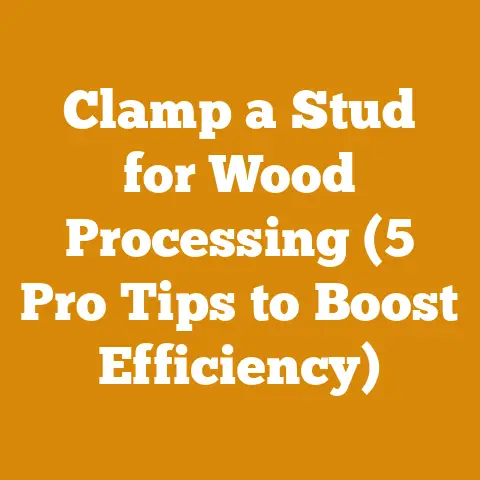 Clamp a Stud for Wood Processing (5 Pro Tips to Boost Efficiency)