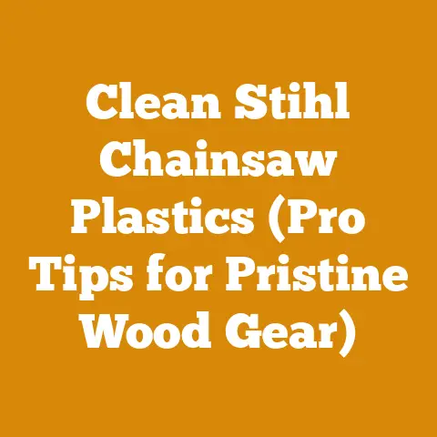 Clean Stihl Chainsaw Plastics (Pro Tips for Pristine Wood Gear)