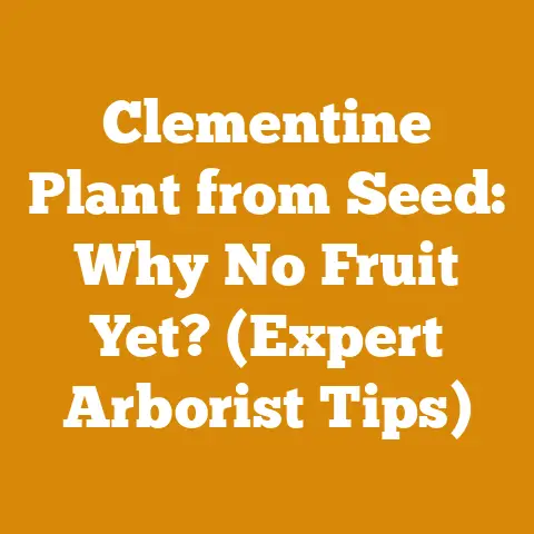Clementine Plant from Seed: Why No Fruit Yet? (Expert Arborist Tips)