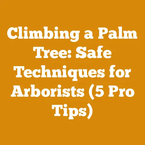 Climbing a Palm Tree: Safe Techniques for Arborists (5 Pro Tips)