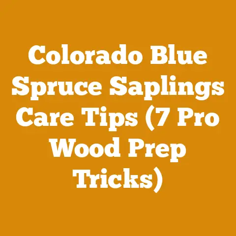 Colorado Blue Spruce Saplings Care Tips (7 Pro Wood Prep Tricks)