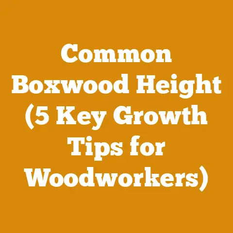 Common Boxwood Height (5 Key Growth Tips for Woodworkers)
