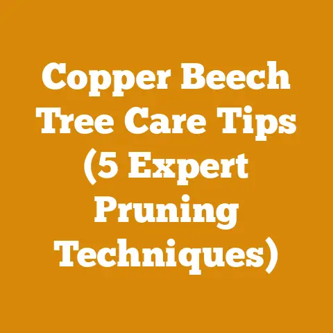 Copper Beech Tree Care Tips (5 Expert Pruning Techniques)