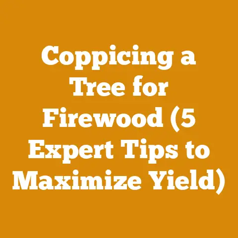Coppicing a Tree for Firewood (5 Expert Tips to Maximize Yield)