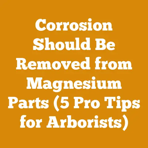 Corrosion Should Be Removed from Magnesium Parts (5 Pro Tips for Arborists)