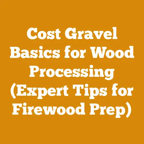 Cost Gravel Basics for Wood Processing (Expert Tips for Firewood Prep)