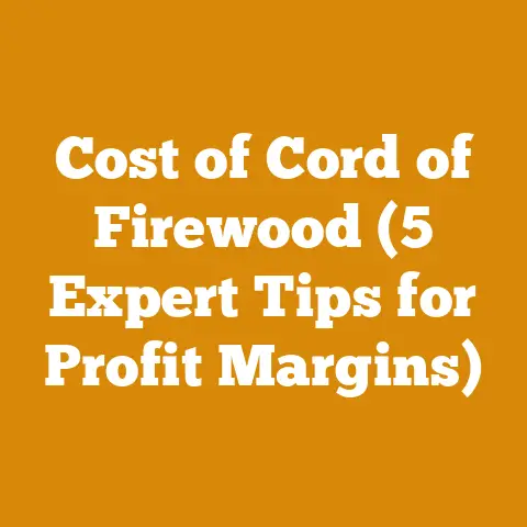 Cost of Cord of Firewood (5 Expert Tips for Profit Margins)