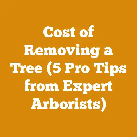 Cost of Removing a Tree (5 Pro Tips from Expert Arborists)