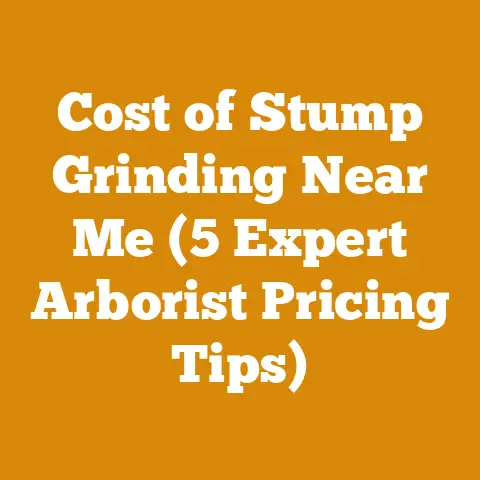 Cost of Stump Grinding Near Me (5 Expert Arborist Pricing Tips)
