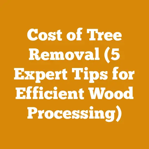Cost of Tree Removal (5 Expert Tips for Efficient Wood Processing)