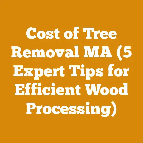 Cost of Tree Removal MA (5 Expert Tips for Efficient Wood Processing)