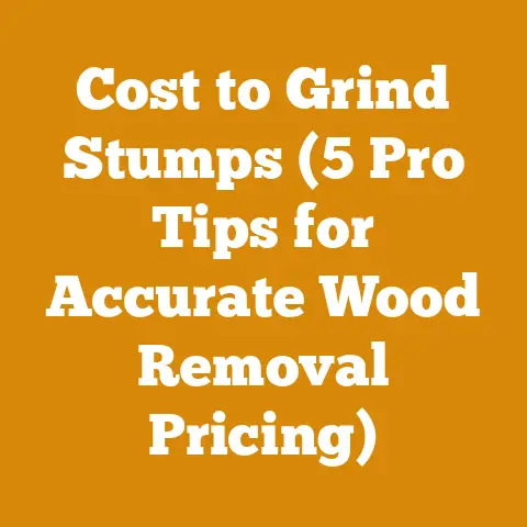 Cost to Grind Stumps (5 Pro Tips for Accurate Wood Removal Pricing)