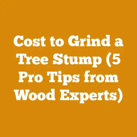 Cost to Grind a Tree Stump (5 Pro Tips from Wood Experts)