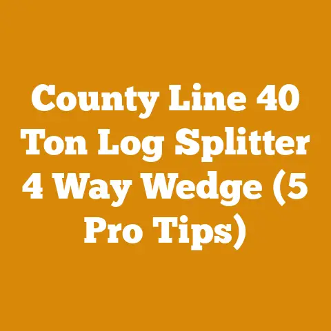 County Line 40 Ton Log Splitter 4 Way Wedge (5 Pro Tips)