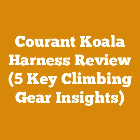 Courant Koala Harness Review (5 Key Climbing Gear Insights)