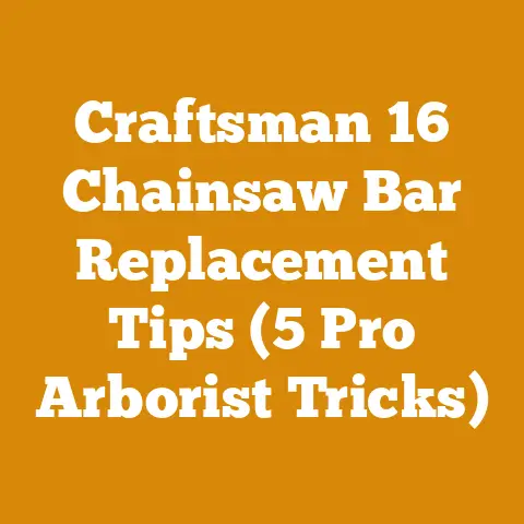 Craftsman 16 Chainsaw Bar Replacement Tips (5 Pro Arborist Tricks)