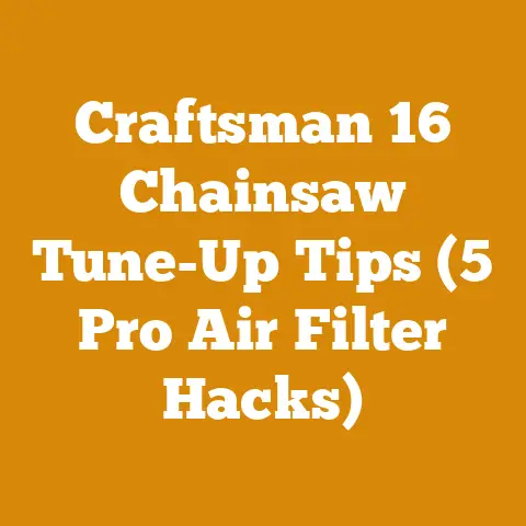 Craftsman 16 Chainsaw Tune-Up Tips (5 Pro Air Filter Hacks)