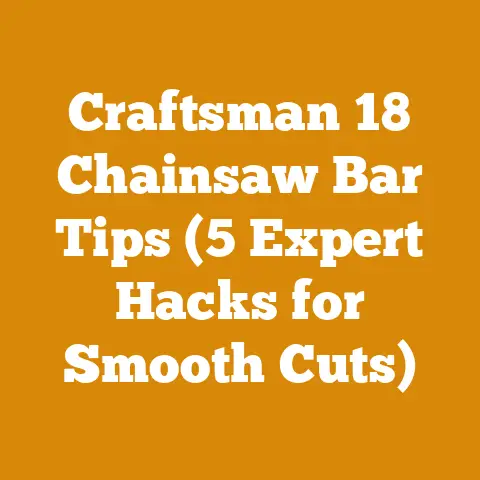 Craftsman 18 Chainsaw Bar Tips (5 Expert Hacks for Smooth Cuts)