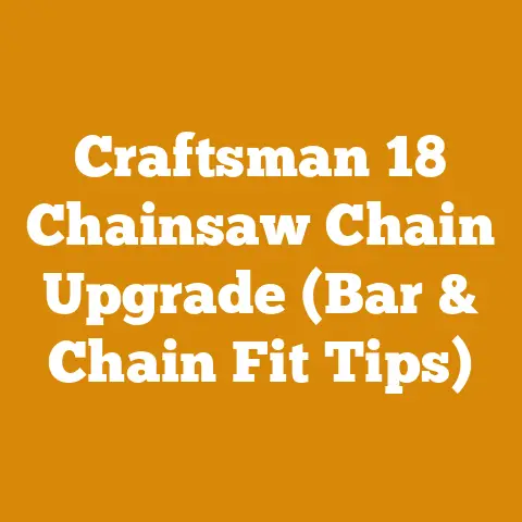 Craftsman 18 Chainsaw Chain Upgrade (Bar & Chain Fit Tips)