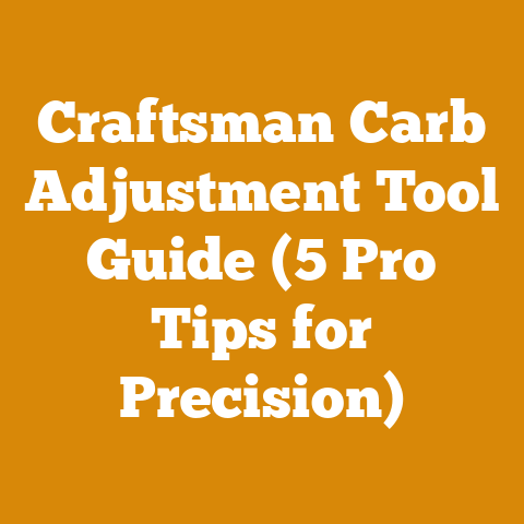 Craftsman Carb Adjustment Tool Guide (5 Pro Tips for Precision)