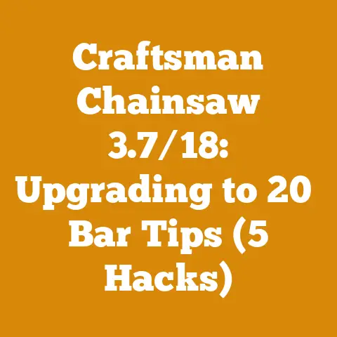 Craftsman Chainsaw 3.7/18: Upgrading to 20″ Bar Tips (5 Hacks)