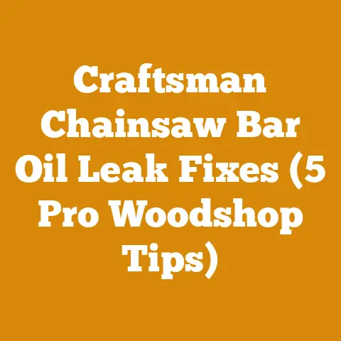 Craftsman Chainsaw Bar Oil Leak Fixes (5 Pro Woodshop Tips)