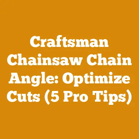 Craftsman Chainsaw Chain Angle: Optimize Cuts (5 Pro Tips)