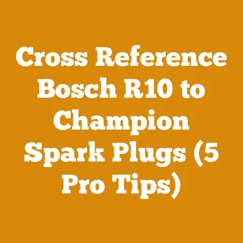 Cross Reference Bosch R10 to Champion Spark Plugs (5 Pro Tips)