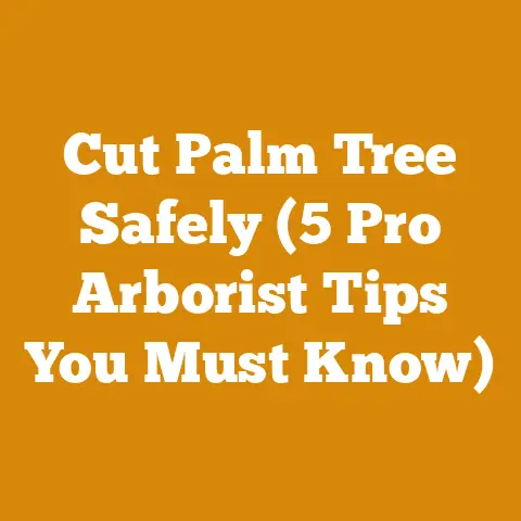 Cut Palm Tree Safely (5 Pro Arborist Tips You Must Know)