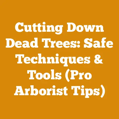 Cutting Down Dead Trees: Safe Techniques & Tools (Pro Arborist Tips)
